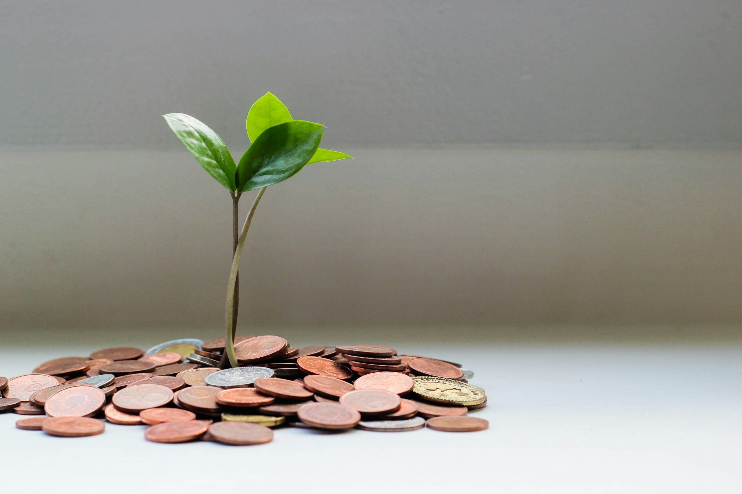 ROI image of pennies growing