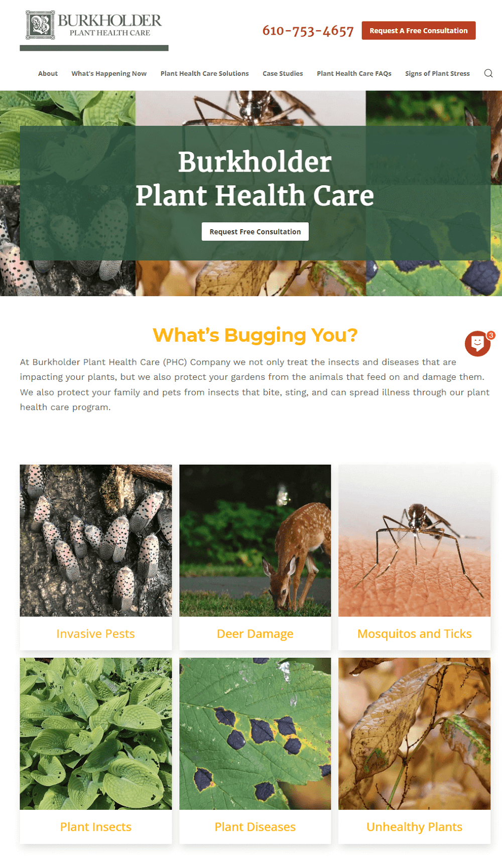 Burkholder Plant Health Care Home Page | web design projects | VIEWS Digital Marketing