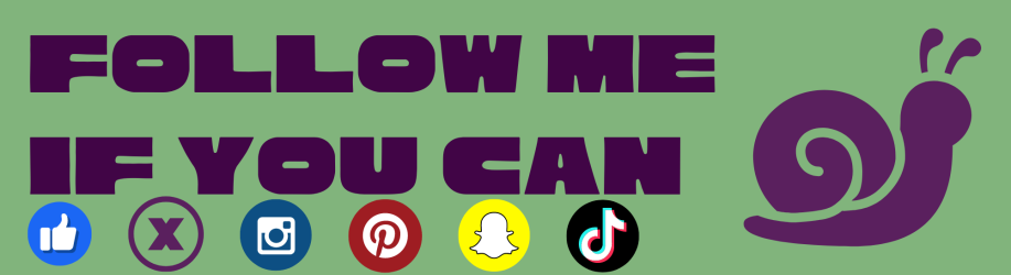 Social Media Management by VIEWS