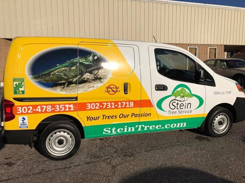 Stein Van | Stein Tree Service