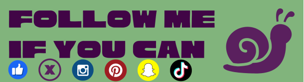 Social Media Management by VIEWS